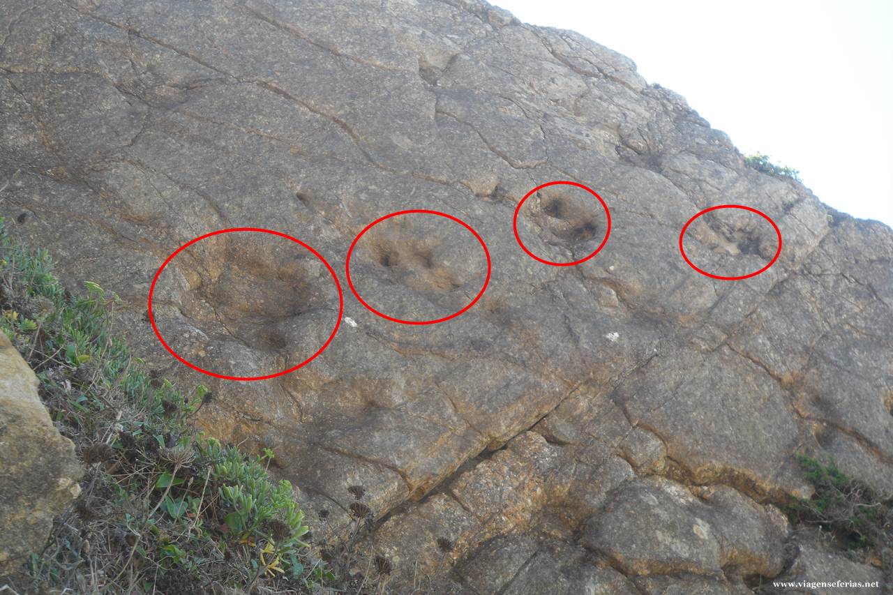 Pegadas De Dinossauro Da Praia Grande