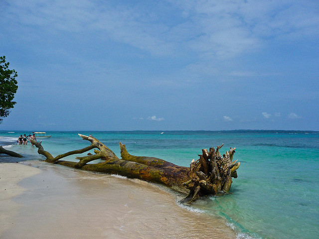 isla Zapatilla Bocas del Toro Foto deMichael McCullough no Flick
