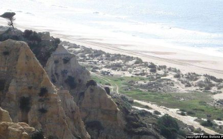 Arribas e Praia no Parque Doñana