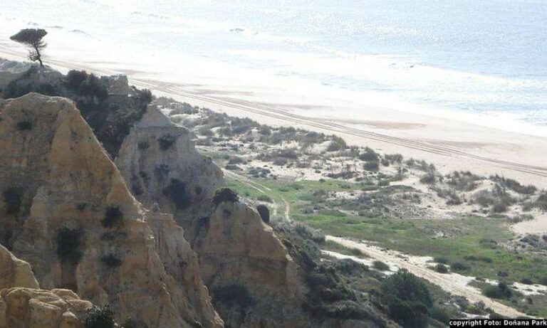 Arribas e Praia no Parque Doñana