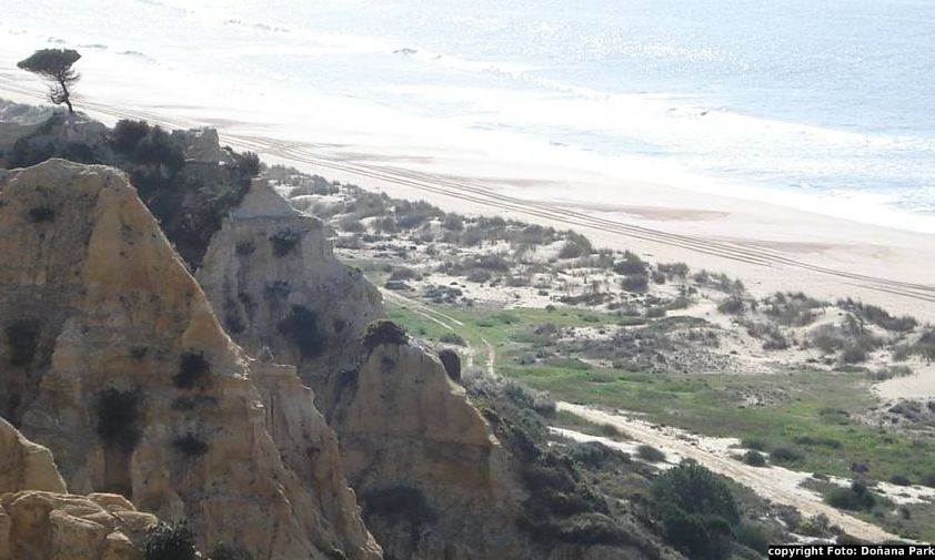 Arribas e Praia no Parque Doñana