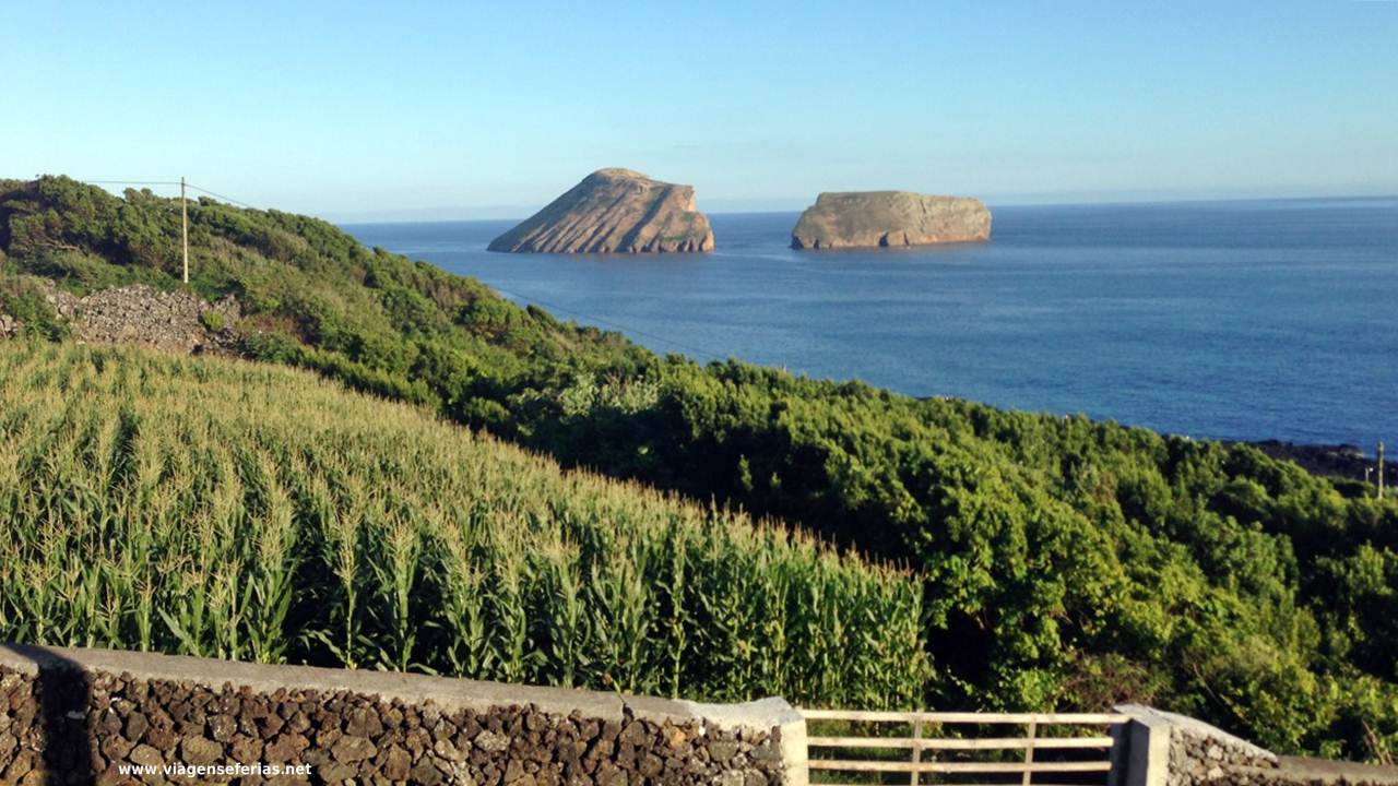 vista de campo na ilha Terceira nos Açores