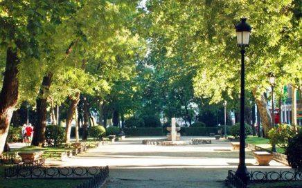 Paseo del Prado em Madrid a 18 de Outubro