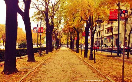 Paseo de la Castellana a 10 de Novembro em Madrid