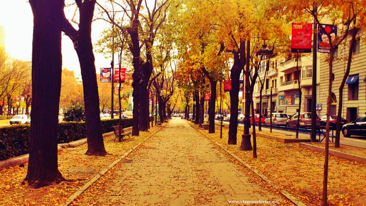 Paseo de la Castellana a 10 de Novembro em Madrid
