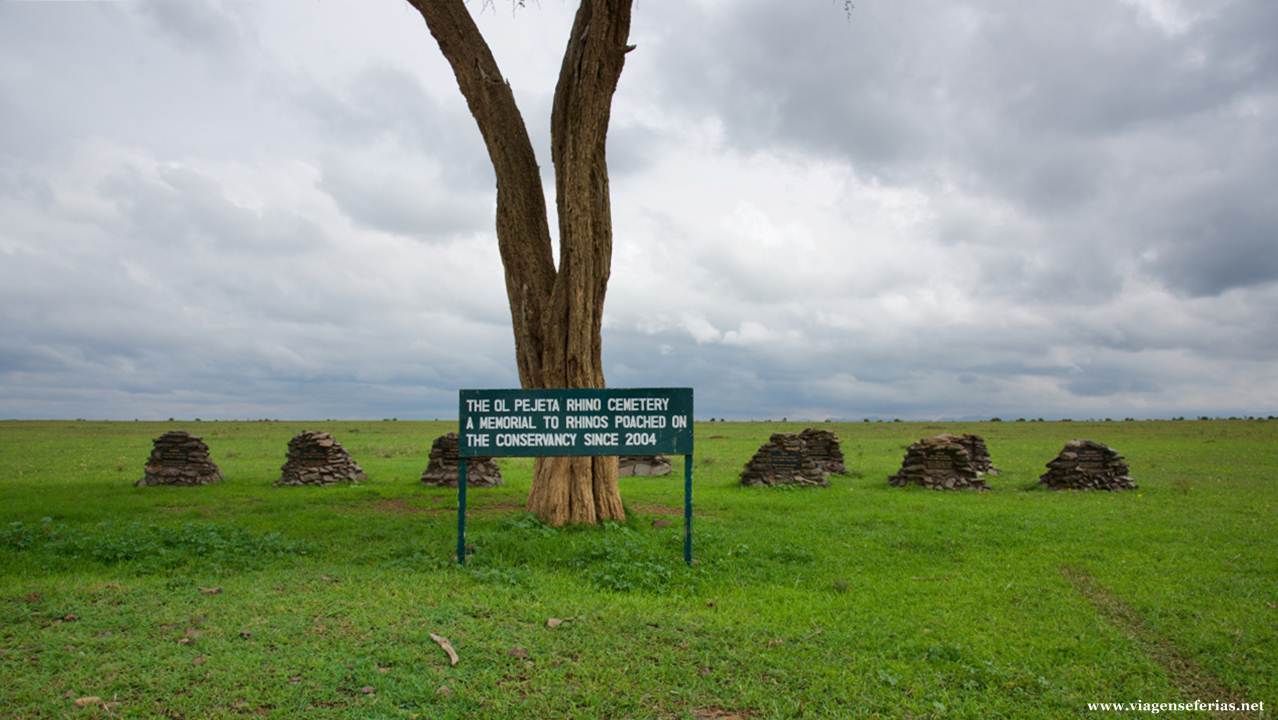 Cemitério de Rinocerontes no Parque Ol Pejeta no Quénia
