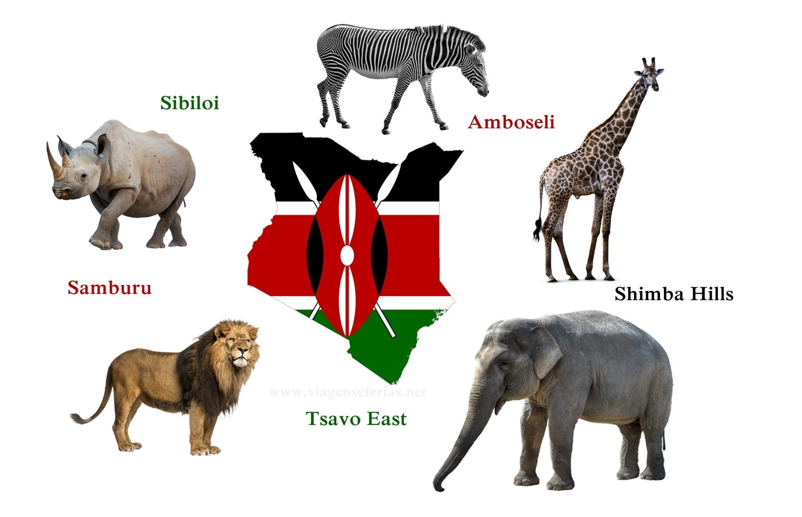 5 Parques Nacionais do Quénia e animais selvagens