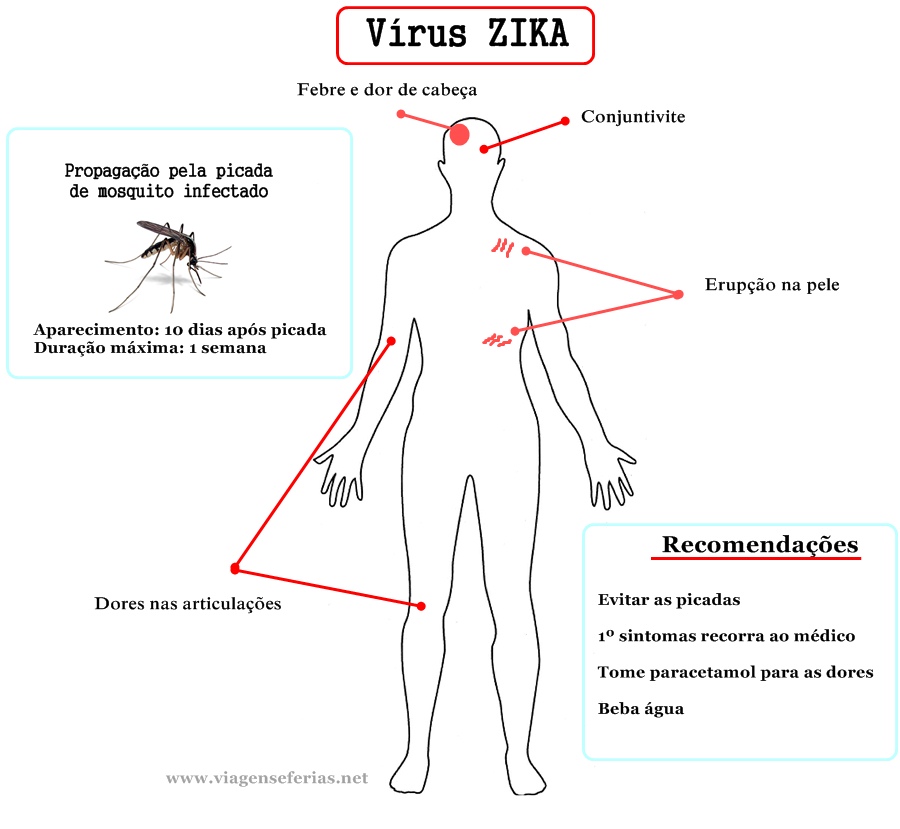 Sintomas, propagação e recomendações para o vírus ZIKA