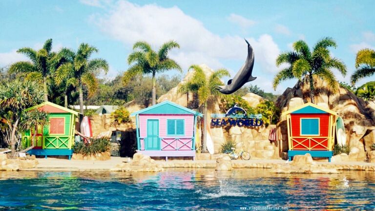 Espectáculo de golfinhos no Parque Seaworld Orlando