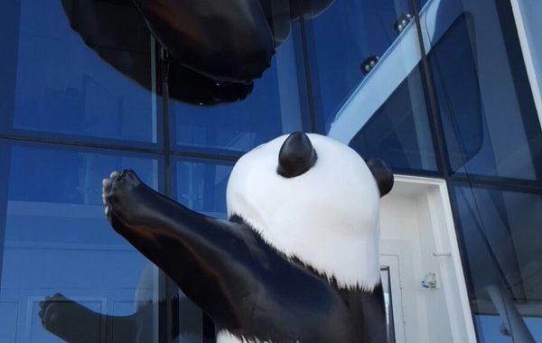 Pandas no cruzeiro Ovation of the Seas da Royal Caribbean