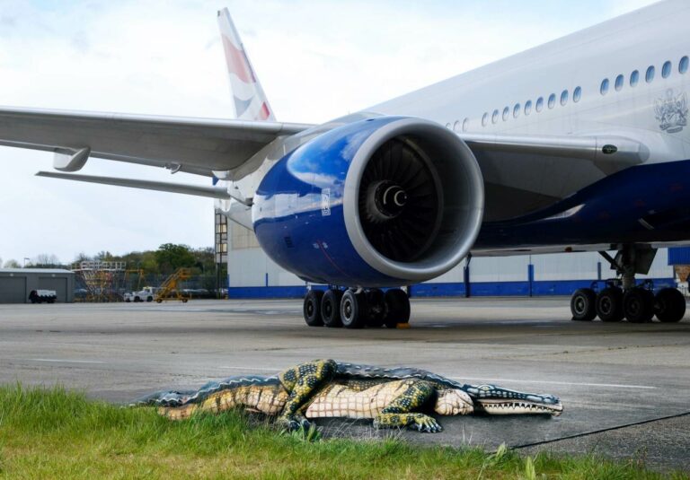 Jacaré na pista de Londres atwick promove British Airways