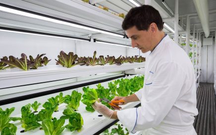 CropBox no hotel Ritz-Carlton Nápoles em Itália