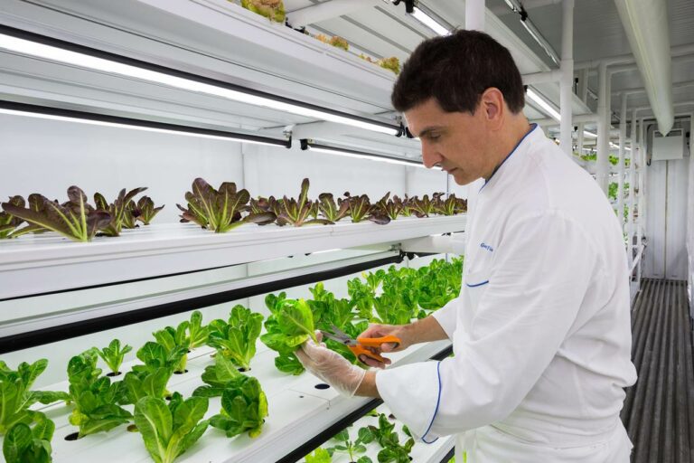 CropBox no hotel Ritz-Carlton Nápoles em Itália