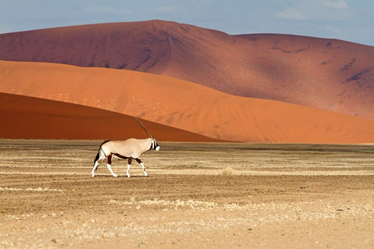 Parque Nacional Nammib-Naukluft com o deserto do Namibe (Namíbia e Angola)