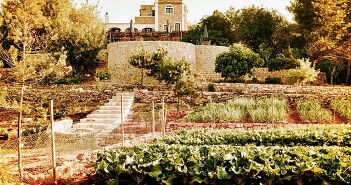Vista desde a horta da La Granja Ibiza - Design Hotels