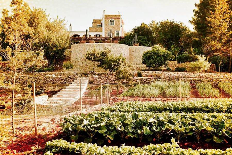 Vista desde a horta da La Granja Ibiza - Design Hotels