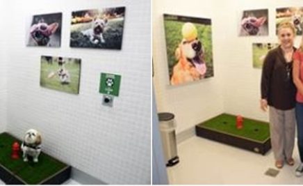 Espaços para animais na zona de embarque do aeroporto de Miami