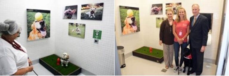 Espaços para animais na zona de embarque do aeroporto de Miami