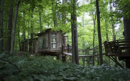 Casa na Árvore presente nos alojamentos Airbnb