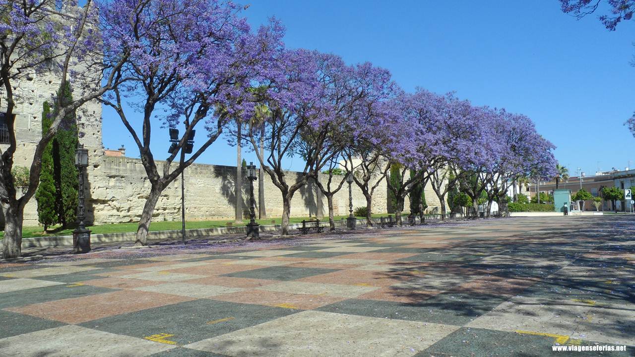 Muralhas almóadas e Alameda Vieja com Jacarandás em Jerez na Andaluzia