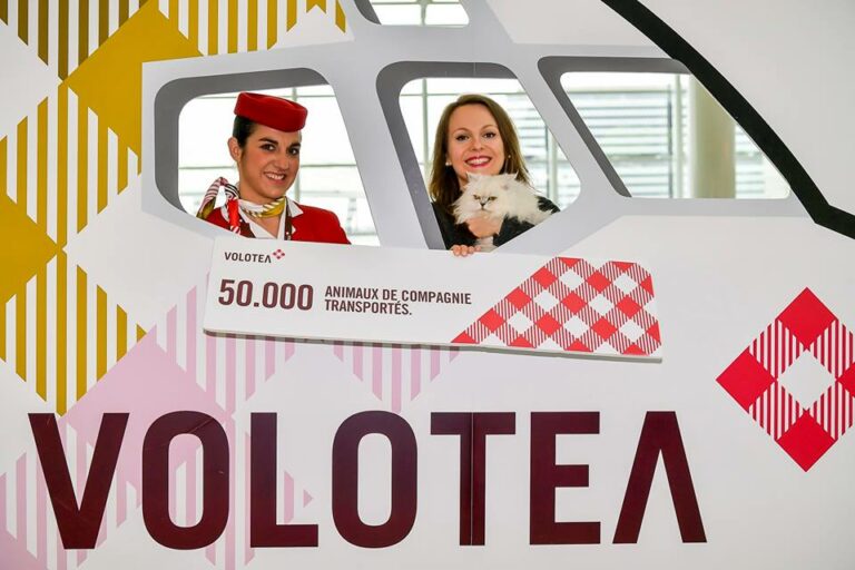 Gata Lily com a dona, 50.000 animais transportados pela Volotea