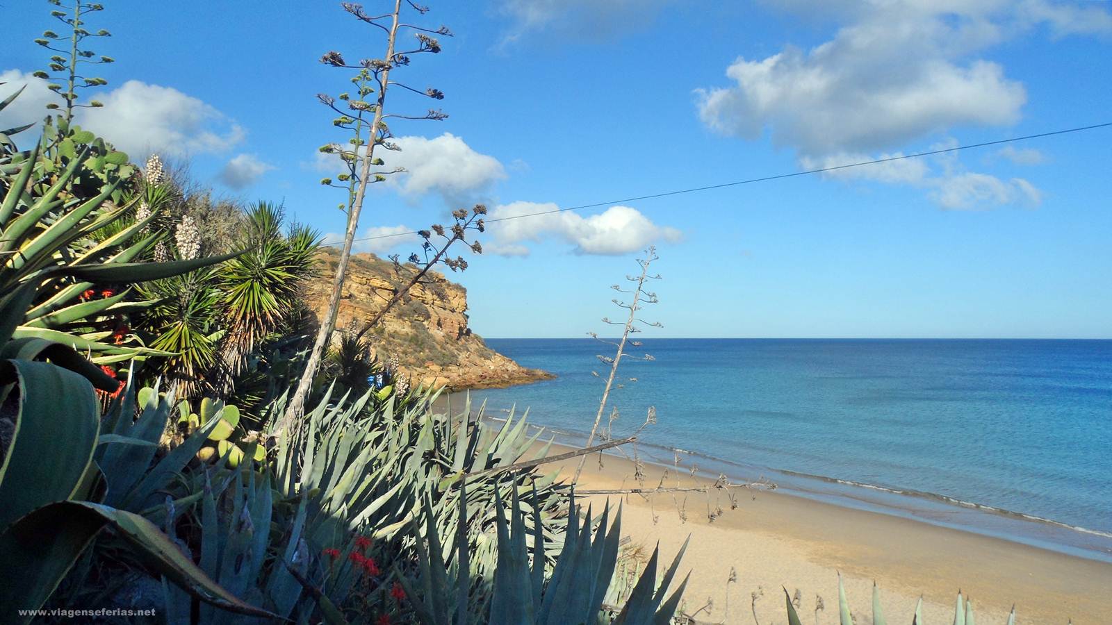 Jardins com cactos no Parque da Costa Vicentina no Burgau