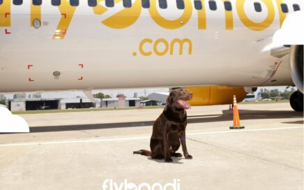 Cão Nelson que dá nome ao primeiro avião da low cost Flybondi