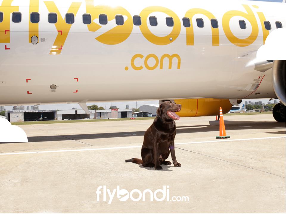 Cão Nelson que dá nome ao primeiro avião da low cost Flybondi