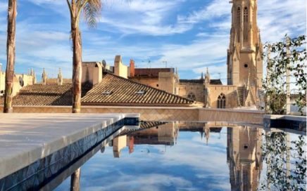 Vista sobre a Catedral de Palma de Maiorca a partir do terraço do hotel Mamá