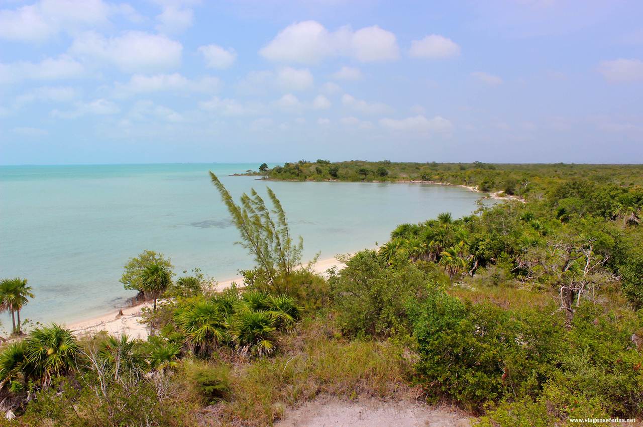 Uma das praias selvagens de ilha Ambergris Caye no Belize