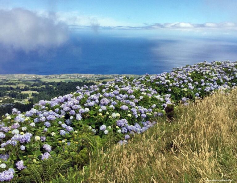Paisagem na ilha de São Miguel nos Açores