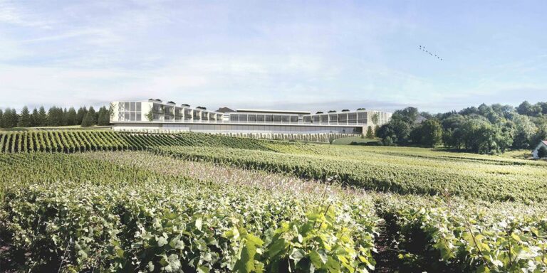 Royal Champagne Hotel & Spa visto das vinhas