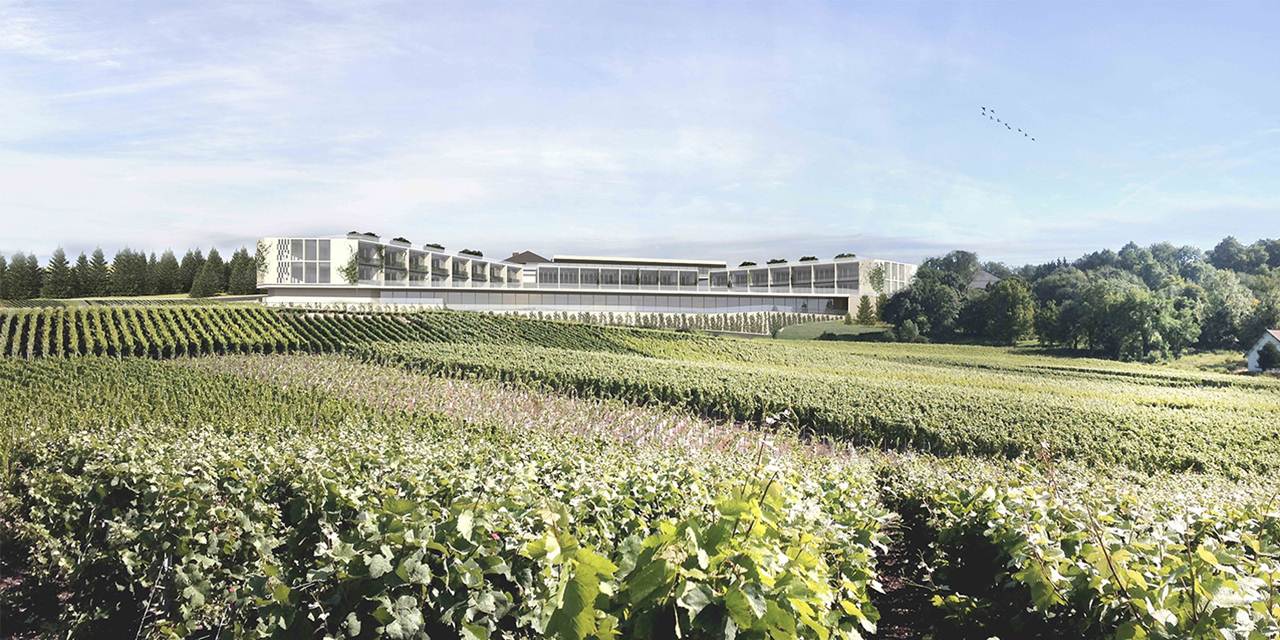 Royal Champagne Hotel & Spa visto das vinhas