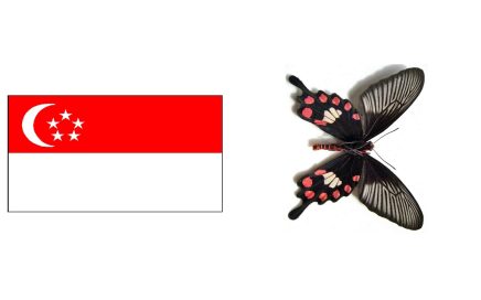 Bandeira de Singapura e a borboleta nacional do País