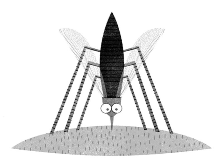 Ilustração de um mosquito
