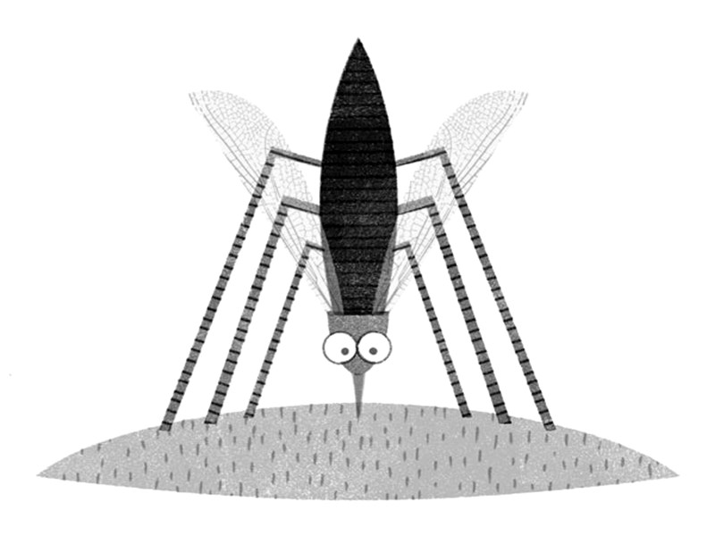 Ilustração de um mosquito