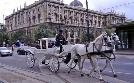 Típica carruagem com cavalos numa rua de Viena