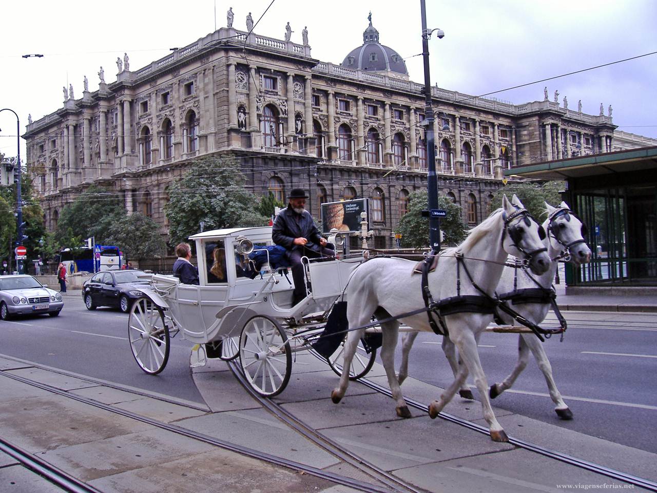 Típica carruagem com cavalos numa rua de Viena