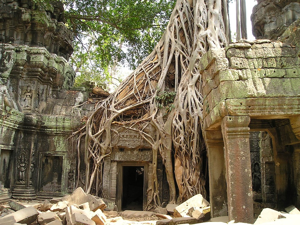 Templo Angkor Watt na selva com raízes