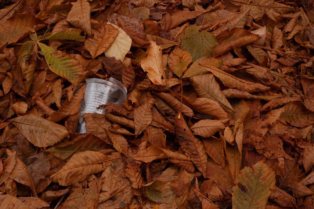 Copo de plástico no meio de folhas de árvore