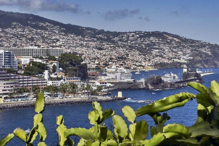 Cidade do Funchal na ilha da Madeira com vista para o porto